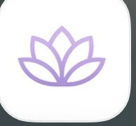 NOLABLOOM CREATOR